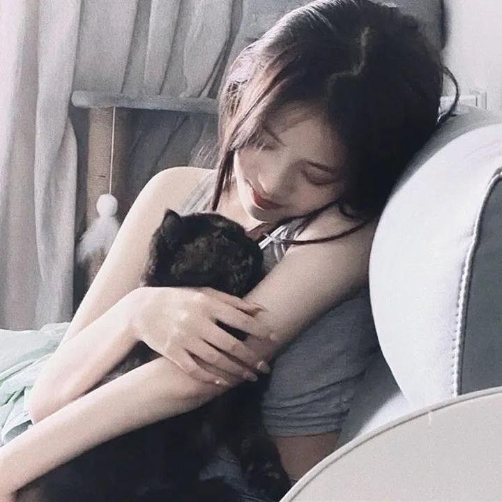 极地熊踪 在线观看